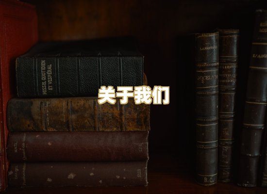 关于我们